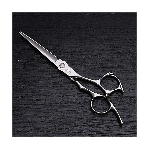 zmigrapddn Ciseaux de Coupe de Cheveux, cisailles à Cheveux professionnelles6 Pouces pour Coiffeur Professionnel de Coiffure 