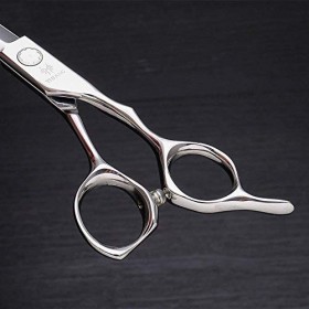 Ciseaux de coupe de cheveux, cisailles à cheveux professionnellesCisseau de coupe de cheveux plat de 6 pouces, acier 440 Cise