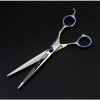 Ciseaux de Coiffure Professionnels, Kit de Ciseaux de Coiffeur Rasoir Coiffure Coiffeur Barbier Homme, B, Coupe Plate 6 pouce