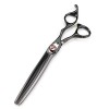 Ciseaux de coiffeur Ciseaux de coupe de cheveux, 7 pouces Professionnel Japon 440c Acier Black Flame Gem Ciseaux de cheveux C