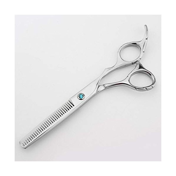 Outils de coupe des cheveux Ensemble doutils de ciseaux à cheveux ciseaux à coupe professionnelle pour femme Color : Silver