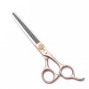 Lot de 2 paires de ciseaux de coiffeur professionnels pour gaucher - Pour salon de coiffure, barbier ou usage domestique - Lé