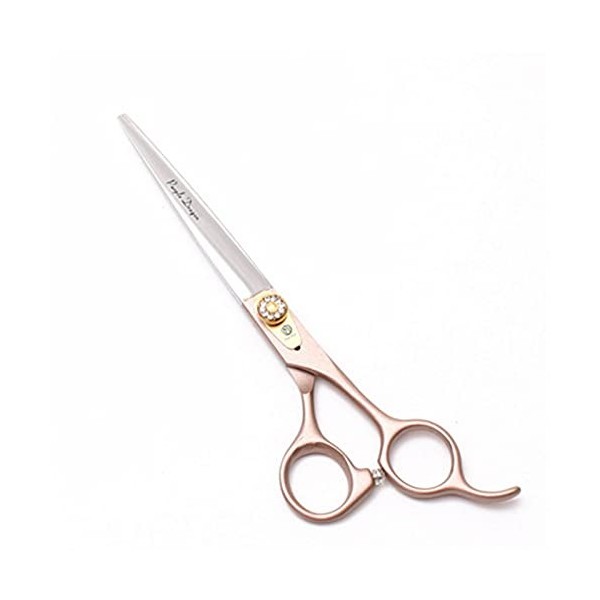 Lot de 2 paires de ciseaux de coiffeur professionnels pour gaucher - Pour salon de coiffure, barbier ou usage domestique - Lé