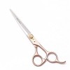 Lot de 2 paires de ciseaux de coiffeur professionnels pour gaucher - Pour salon de coiffure, barbier ou usage domestique - Lé