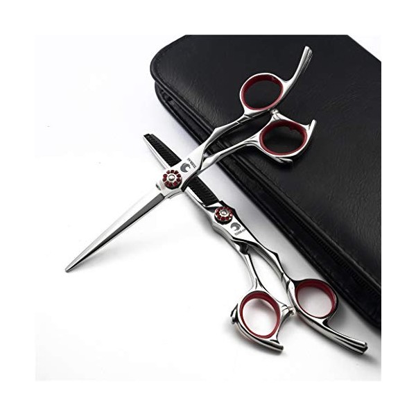 Professionnel Ciseaux de coiffure haut de gamme 6,0 pouces personnalité dargent Droitière Set 440C Barber Scissor Texture Di