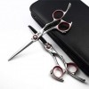 Professionnel Ciseaux de coiffure haut de gamme 6,0 pouces personnalité dargent Droitière Set 440C Barber Scissor Texture Di