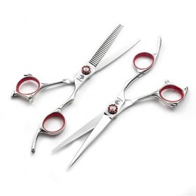 Professionnel Ciseaux de coiffure haut de gamme 6,0 pouces personnalité dargent Droitière Set 440C Barber Scissor Texture Di