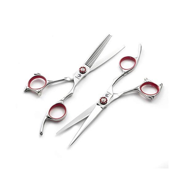 Professionnel Ciseaux de coiffure haut de gamme 6,0 pouces personnalité dargent Droitière Set 440C Barber Scissor Texture Di