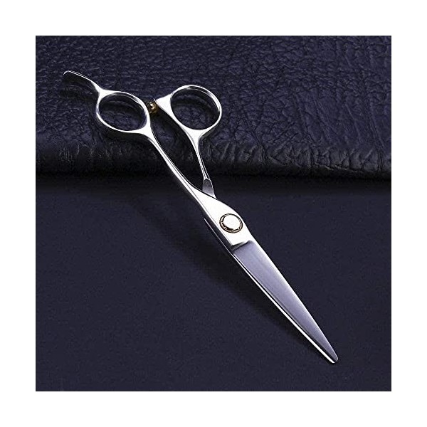 Ciseaux De Coiffeur Ciseaux De Coiffure Professionnels Argent 6 Pouces Ciseaux Feuille De Saule Simple Lame Simple Double Lam