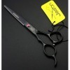 Ciseaux de coiffure de luxe Ciseaux de coiffeur rétro, Ciseaux japonais professionnels de 6 pouces, Ciseaux de coiffure profe