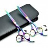 Générique Ciseaux De Coiffure Combinaison Ensemble Super Sharp Professionnel Ciseaux De Coiffeur Outil Salon Mince Kit 6,0 Po