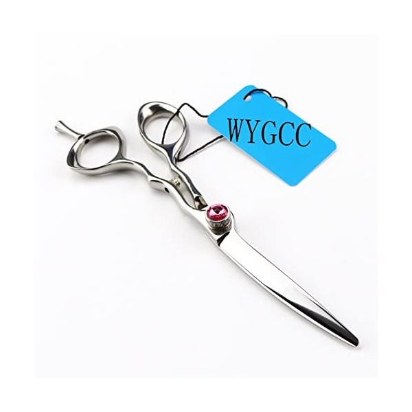 WYGCC Ciseaux Coiffure Professionnels 6.0", Salon Barber Ciseaux Ciseaux de Cheveux Tranchants Et Précis Perfect for Les Femm