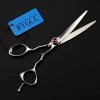 WYGCC Ciseaux Coiffure Professionnels 6.0", Salon Barber Ciseaux Ciseaux de Cheveux Tranchants Et Précis Perfect for Les Femm