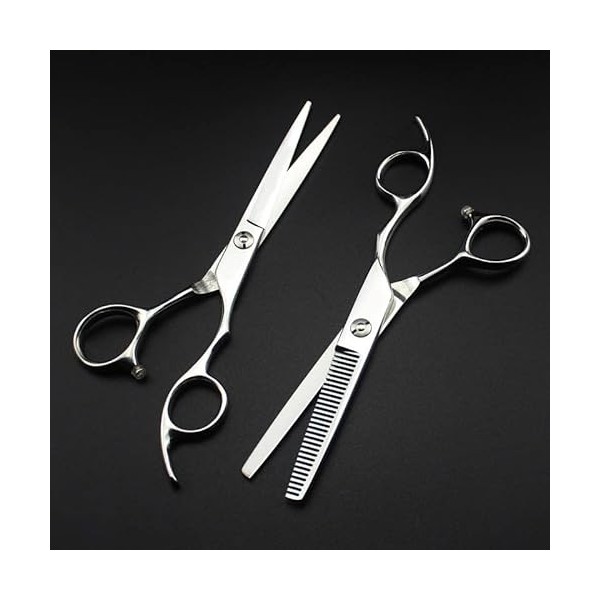 ciseaux de coiffeur Ciseaux De Coupe De Cheveux, 6 Pouces Professionnel Argent Haut De Gamme Ciseaux De Coupe De Cheveux Cise