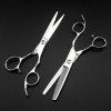 ciseaux de coiffeur Ciseaux De Coupe De Cheveux, 6 Pouces Professionnel Argent Haut De Gamme Ciseaux De Coupe De Cheveux Cise