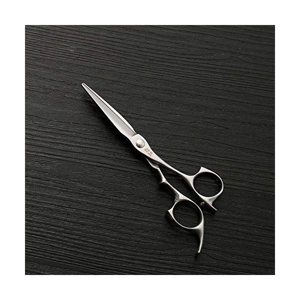 Ciseaux de coupe de cheveux, cisailles à cheveux professionnelles5. Cisaille plate professionnelle en acier inoxydable de 5 p