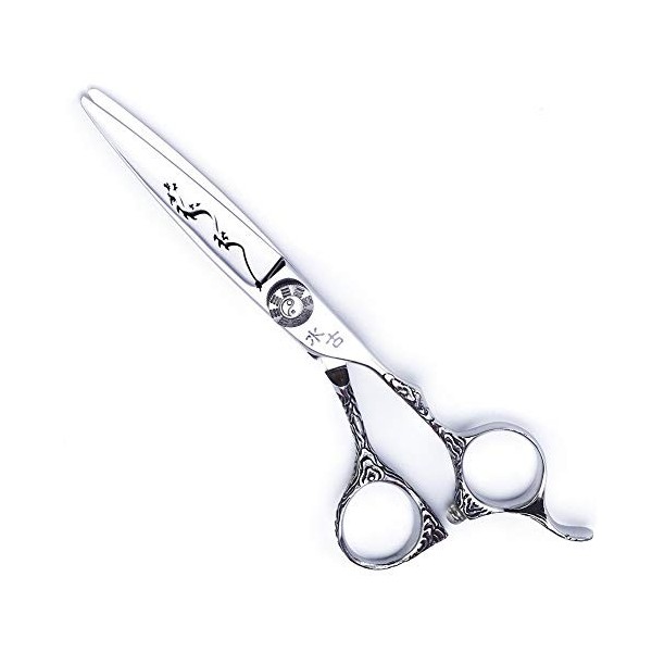 WYGC Scissors Ciseaux Coiffure Professionnel Ciseaux Cheveux Acier Inoxydable 440C Coupe Nette et Précise Combinaison Set pou