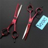 Ciseaux Coiffure, Haute Dureté Tranchant 17cm Professionnel  Coupe de Cheveux Outils Cisailles Set de Coiffeur  6 pouces Main