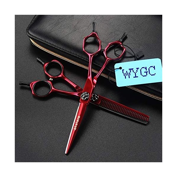 Ciseaux Coiffure, Haute Dureté Tranchant 17cm Professionnel  Coupe de Cheveux Outils Cisailles Set de Coiffeur  6 pouces Main