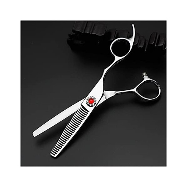 Ciseaux de coiffeur professionnels de 6.0 pouces, ciseaux spéciaux de styliste, ciseaux à dents, ciseaux de coupe de cheveux