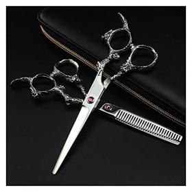 Outils de coiffure professionnels, ciseaux de coiffure argentés, ciseaux de coiffure professionnels avec long manche couleur ...