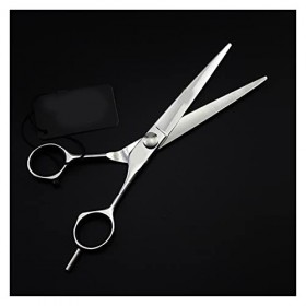Ciseaux de coupe de cheveux/ciseaux de cheveux/ciseaux de coupe de cheveux/coiffureciseaux de coupe de cheveux en SUS440C