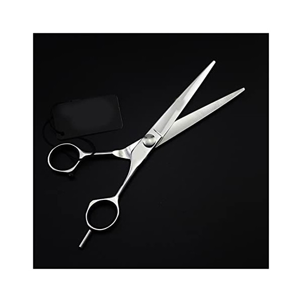 Ciseaux de coupe de cheveux/ciseaux de cheveux/ciseaux de coupe de cheveux/coiffureciseaux de coupe de cheveux en SUS440C
