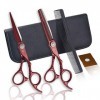 Kit de ciseaux de coupe de cheveux 6,0 pouces en acier inoxydable rouge ciseaux de coupe de cheveux de barbier, ciseaux de co