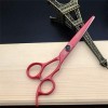 Couper Les Cheveux Professionnel 6.0 Pouces Coiffure Barber Scissor Set Dents Plat Ciseaux Amincissants Salon De Coiffure Com