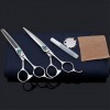 Professional 6.0 Pouces Coiffure Ciseaux De Coiffure Set Ciseaux À Effiler Ciseaux De Coupe De Haute Qualité Ciseaux Plat Den