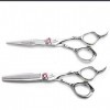 Ciseaux De Coupe Professionnelle Cheveux 6,0 Pouces Argent , Ciseaux De Coiffure Set Ciseaux Droits + Ciseaux Dents , pour 