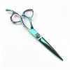 Ciseaux de coiffure circulaires verts de 6 pouces, ciseaux à dents fines, ciseaux de coiffeur couleur: ensemble coupe 