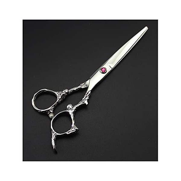 Outils de coiffure professionnels, ciseaux de coiffure argentés, ciseaux de coiffure professionnels avec long manche couleur