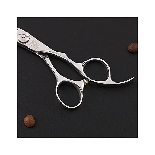 Cheveux professionnels de bord de rasoir, cisailles plates, cisailles texturisantes pour salon, ciseaux de coiffure pour salo