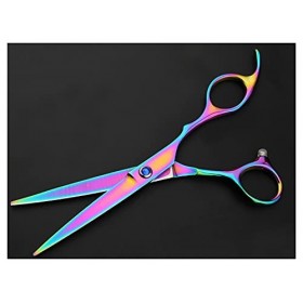 Styliste de cheveux colorés, ciseaux plats spéciaux, ciseaux à dents, ciseaux à frange, ciseaux amincissants taille : ciseau ...