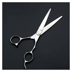 Ciseaux de coupe de cheveux, Ciseaux de coiffure professionnels Ciseaux de coupe de cheveux de salon de roulement dargent, C