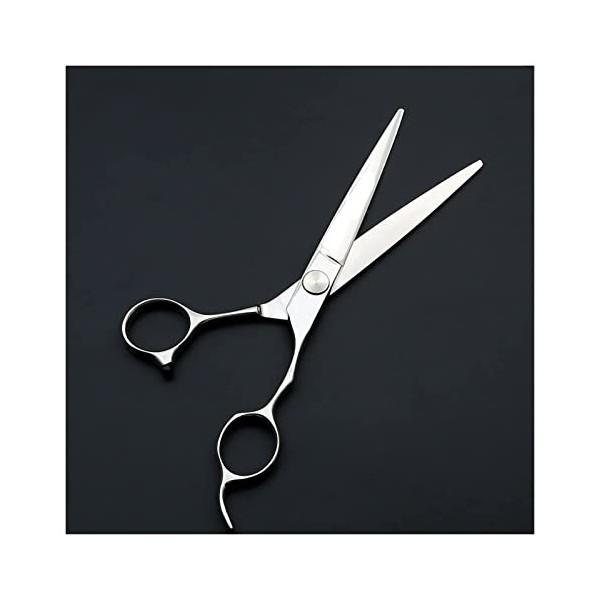 Ciseaux de coupe de cheveux, Ciseaux de coiffure professionnels Ciseaux de coupe de cheveux de salon de roulement dargent, C