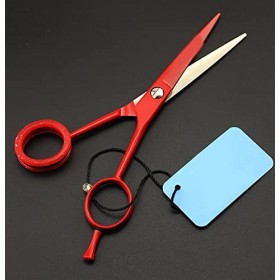 Ciseaux de coiffeur professionnels 5.5 Ciseaux de coupe de cheveux Ciseaux de coiffure Outil de salon de ciseaux de cheveux p...