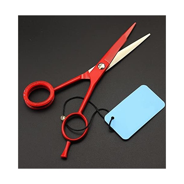 Ciseaux de coiffeur professionnels 5.5 Ciseaux de coupe de cheveux Ciseaux de coiffure Outil de salon de ciseaux de cheveux p