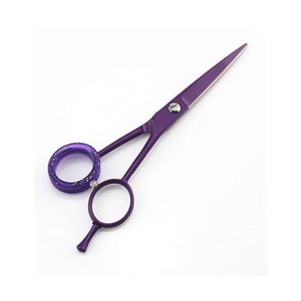 Ciseaux de coiffeur professionnels 5.5 Ciseaux de coupe de cheveux Ciseaux de coiffure Outil de salon de ciseaux de cheveux p