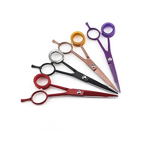 Ciseaux de coiffeur professionnels 5.5 Ciseaux de coupe de cheveux Ciseaux de coiffure Outil de salon de ciseaux de cheveux p