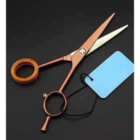 Ciseaux de coiffeur professionnels 5.5 Ciseaux de coupe de cheveux Ciseaux de coiffure Outil de salon de ciseaux de cheveux p...