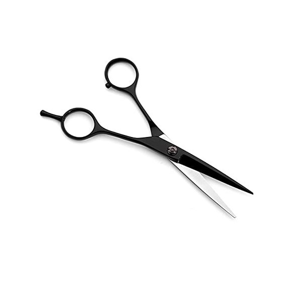 Ciseaux de coiffure polis exquis noirs, cheveux à bord de rasoir, ciseaux plats, ciseaux texturisants pour salon, ciseaux pla