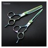 cjcaijun Cisailles de Coupe des Cheveux Ciseaux de Coiffure Verts de 6 Pouces, Ciseaux des Dents, Ciseaux damincissement, Ci