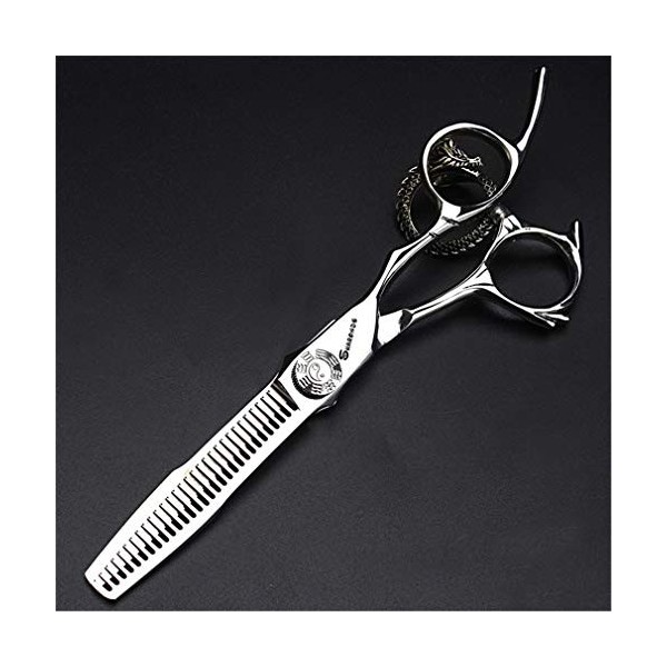 HIJIN Barber Coiffure Ciseaux Set, 6 Pouces Argent Japon 440C Ciseaux Cheveux, Coiffure Ciseaux Ciseaux À Effiler Et Sac, Sal