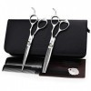 DANTB 6,0 Pouces Principal Coiffeur Rotating Screw Salon de Coiffure Coupe de Cheveux et Ciseaux Dilution Set pour Salon de C