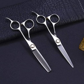 Ciseaux de barbier Ciseaux de coiffure professionnels Argent Ciseaux à feuilles de saule de 6 pouces Ciseaux à graisse simple...