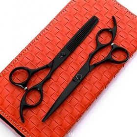 Ciseaux de coiffure Ensemble de ciseaux à effiler les cheveux et ciseaux à cheveux - Ciseaux de coupe de cheveux de 6,0 pouce...