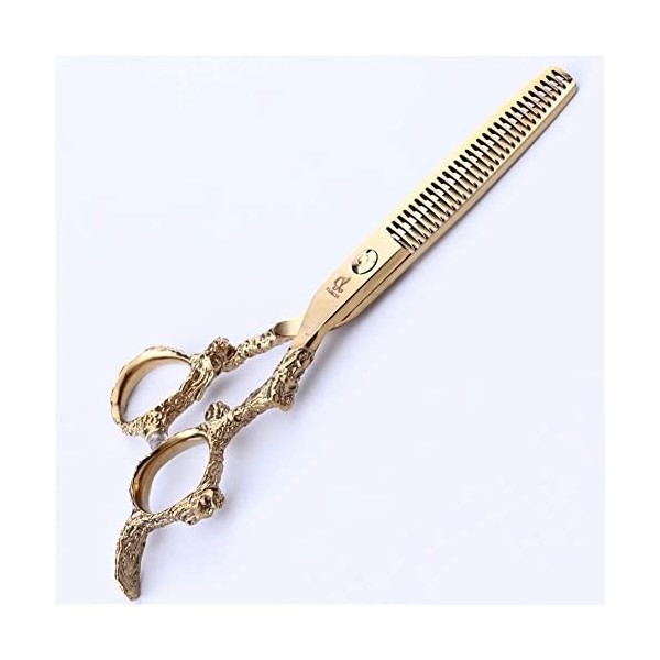 Ciseaux de coiffure Salon professionnel Coupe nette et précise en acier inoxydable Kit doutils de coupe de cheveux pour salo