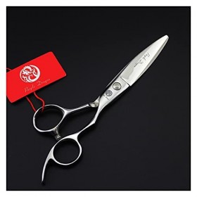 Générique Cisailles pour la Coupe de Cheveux 6,0 Pouces Ciseaux de Coupe de Cheveux, Ciseaux de Salon de Coiffure Professionn